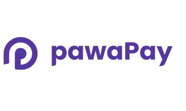 Pawapay 1 650 390 20
